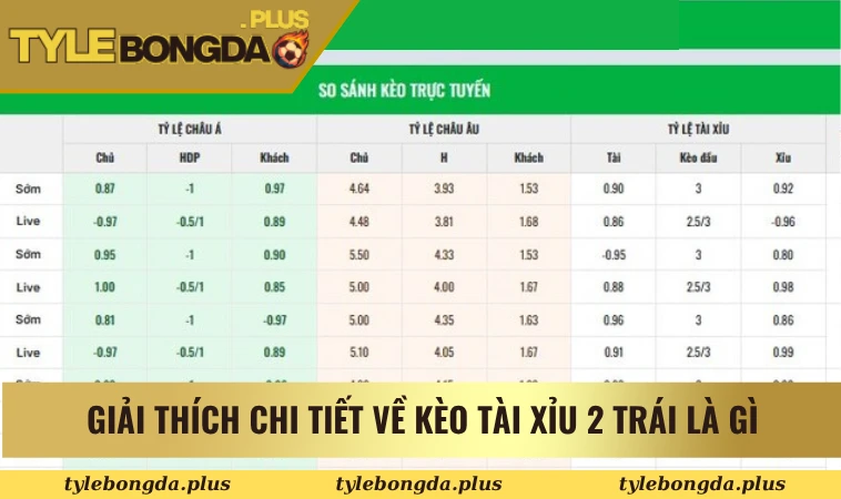 Giải thích chi tiết về kèo tài xỉu 2 trái là gì